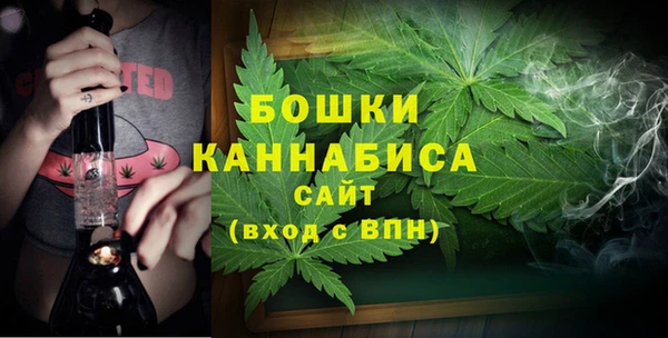 крисы Верхний Тагил