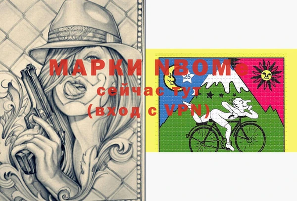 крисы Верхний Тагил