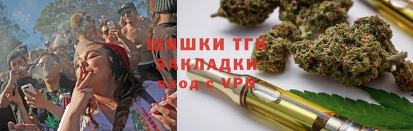 крисы Верхний Тагил