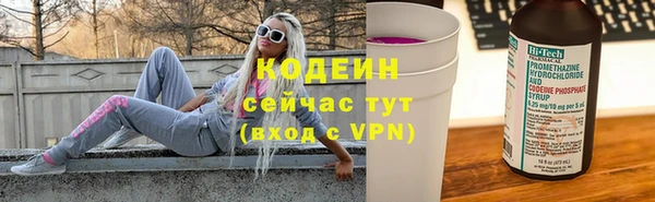 крисы Верхний Тагил