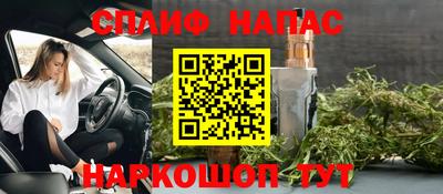 мдпв Гусь-Хрустальный