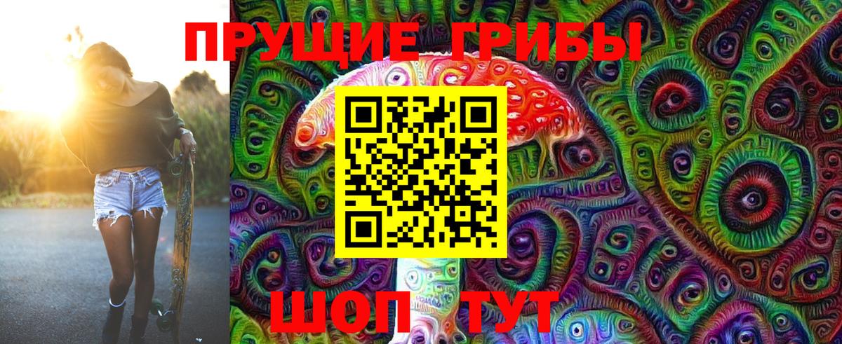 Медногорск  закладки  Вход с VPN  Галлюциногенные грибы мухоморы 